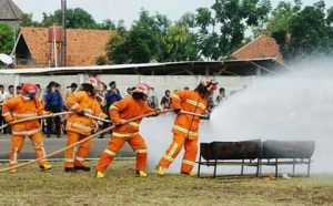 FB_IMG_1558956875023_1