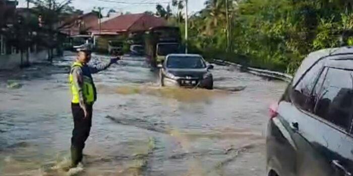 IMG-20260103-WA0014 (1)